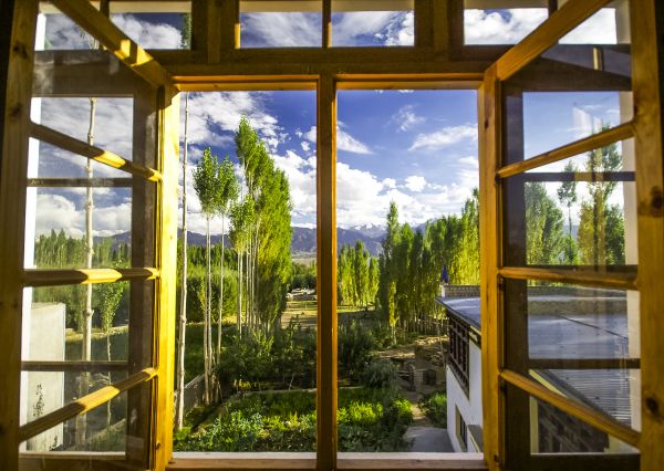 Cost of Wood Window Replacement in Albany