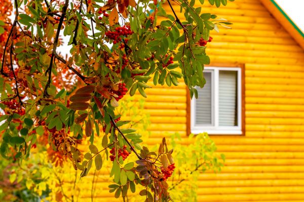 Cost of Garden Window Replacement in Albany